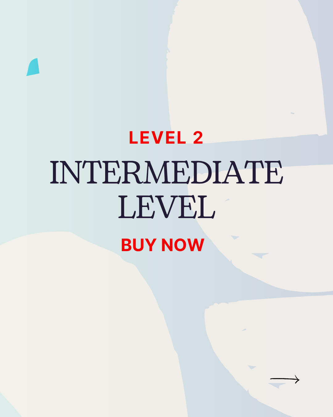 Level 2 – Intermediate Courses