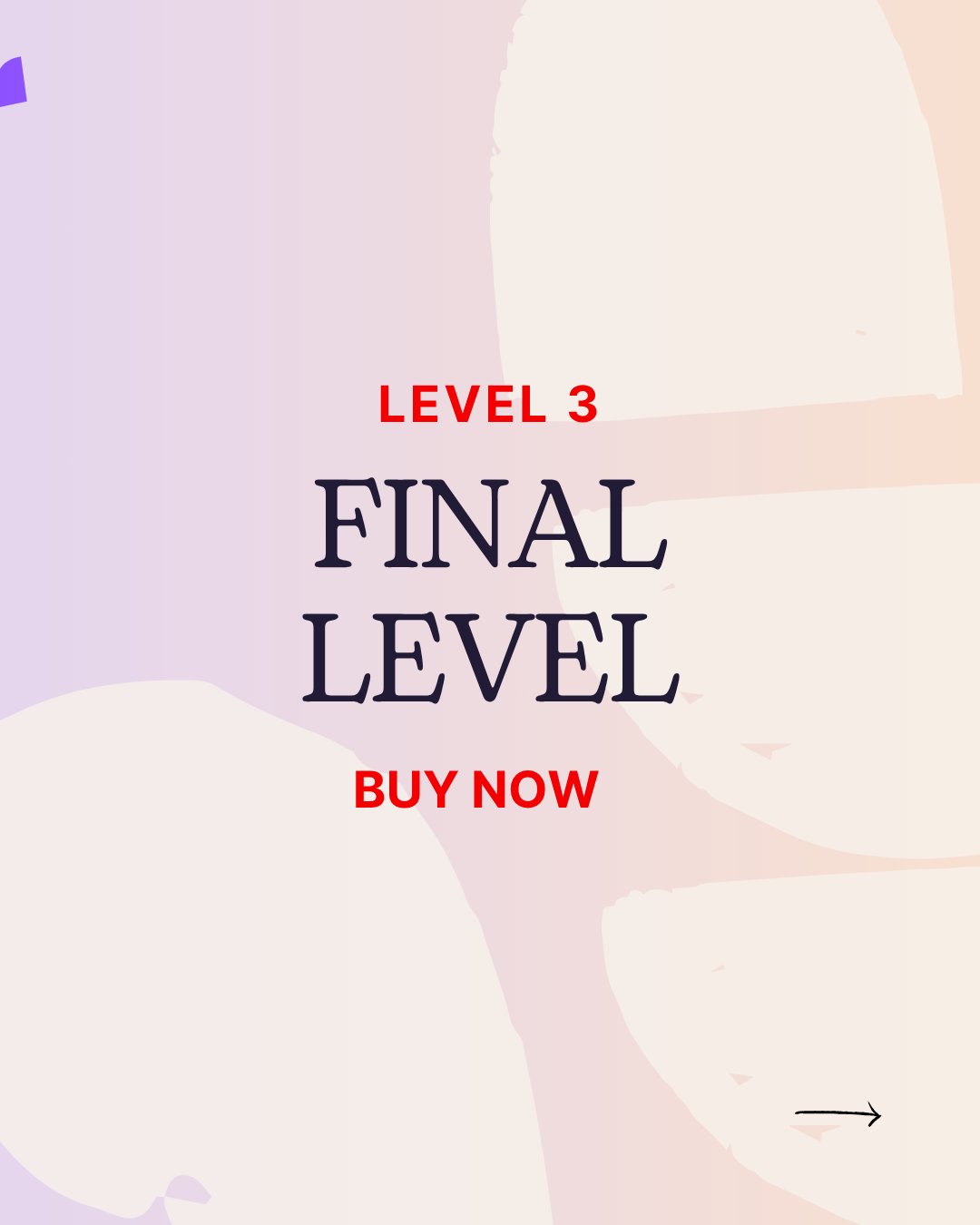 Level 3 – Final/Professional Courses